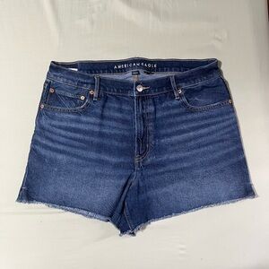 American Eagle Outfitters High Rise Strigid Relaxed Shorts